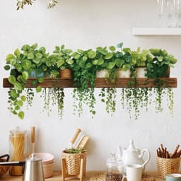 DT29 - 40x70cm Decaltrong dán tường kệ chậu cây hoa nhiều màu sắc , Sẵn keo kt 40*70cm 5