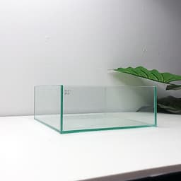 Bể Bán Cạn, Terrarium Nhỏ 20x20x8cm | RF Aquarium 5