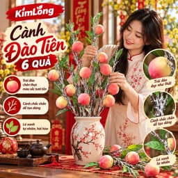 Cành Đào Nhân Tạo 6 Quả - Trang Trí Tết Đẹp, Decor Nhà Cửa Xuân Khởi Sắc 2027 8