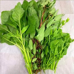 [COMBO 3 GÓI] Hạt Giống Rau Nấu Canh: Mồng Tơi, Rau Dền, Rau Đay Dễ TrồngThu Hoạch Lâu Dài 1