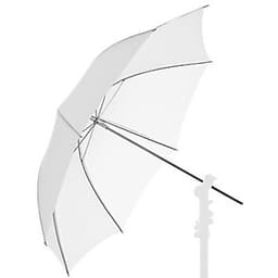 ô trong suốt xinh xắn 6