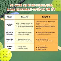 Box 3 Bóng Pickleball CHANLONG 48 Lỗ Box Xanh Dương Chính Hãng, Bóng Tập Luyện Thi Đấu Nảy Đều 4