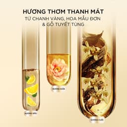 Dầu Gội PANTENE MIRACLES 0% Silicone Bổ Sung Dưỡng Chất Ngăn Rụng Tóc Biotin - Chai 300ML 6