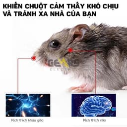 ✅50 năm không có chuột✅sáp đuổi chuột đuổi chuột đuổi gel đuổi chuột ô tô 120g Chất lượng Nhật Bản  4