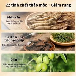 (Chính Hãng) Xà phòng dưỡng tóc DONAN hà thủ ô giảm gãy rụng nuôi dưỡng tóc 4