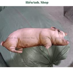 Gối Ôm Heo Hồng 3D Siêu Mềm Dễ Thương – Gối Ôm Ngủ Kích Thước 60cm và 40cm Giúp Bạn Có Giấc Ngủ Ngon 5