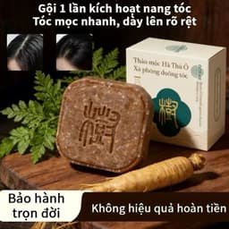 (Chính Hãng) DONAN Dầu Gội dượċ liệu 2in1 Hà Thủ Ô Dầu Gội  / Thảo mộc Dầu Gội , Giảm Gãy Rụng / Donan xà phòng 90g 1