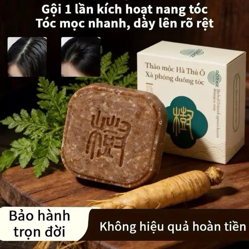 (Chính Hãng) DONAN Dầu Gội dượċ liệu 2in1 Hà Thủ Ô Dầu Gội  / Thảo mộc Dầu Gội , Giảm Gãy Rụng / Donan xà phòng 90g
