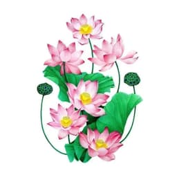 Miếng Dán Tường Hoa Sen 3D Sang Trọng, Tinh Tế, Trang Trí Nhà, Toilet, Tủ Lạnh 5