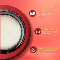 (Chính Hãng) (Hỏa Tốc) Kem hỗ trợ suy giãn tĩnh mạch Nhật Bản – Giảm gân xanh, cải thiện lưu thông mạch máu 3