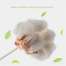 Tăm Bông Cho Bé Sơ Sinh MISUTA, Hộp 400 Que Bông Tự Nhiên An Toàn - Timikid 2