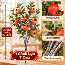 Cành Lựu mốc 7 Quả cao 90cm, quả cam đỏ lớn mang lại may mắn, tài lộc và trang trí sang trọng cho không gian. 2
