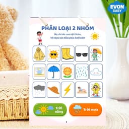 Thẻ Flash EVON BABY dạy bé tập nói - Tập PHÂN LOẠI THEO NHÓM 3