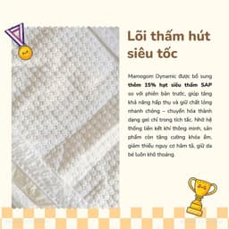 [Bản nâng cấp] Bỉm MAMOGOM Chính Hãng mẫu mới Dynamic Chun 4 Chiều, K Vết HằnCó Chứng Nhận Dermatest 8