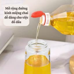 Bình xịt dầu ăn  Bình thủy tinh xịt dầu ăn phun sương có thể phun hoặc rót 7