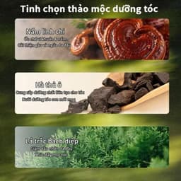 (Chính Hãng) DONAN Dầu Gội dượċ liệu 2in1 Hà Thủ Ô Dầu Gội  / Thảo mộc Dầu Gội , Giảm Gãy Rụng / Donan xà phòng 90g 2