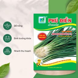 Hạt Giống Hành Hương Bốn Mùa (Gói 2g ~ 1000 Hạt) Dễ Trồng, Khỏe Mạnh, Phát Triển Suốt Năm 5