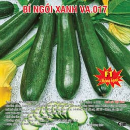 Hạt giống bí ngòi xanh F1 (10 hạt) dễ trồng, chịu nhiệt tốt, năng suất cao, phù hợp cho mọi vườn rau. 5