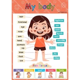 (8037) Decal - Poster Trang Trí Lớp Học Các Chủ Đề A3 2