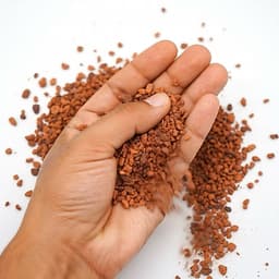 500g Gốm Ceramic dùng trải nền cho bể thuỷ sinh ươm Bucep, Rêu, Ráy (Loại hạt nhỏ) 5