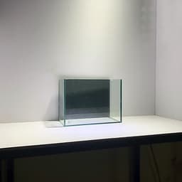Hồ Show Cá 20x9x15cm Mặt Sau Dán Decan Đen 5
