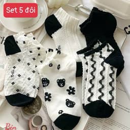 Sét 5 đôi tất cổ thấp nữ mẫu mới BIN 6