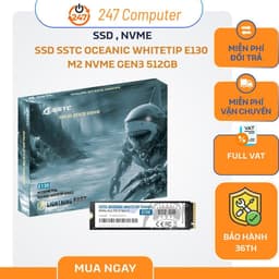 Ổ CỨNG SSD SSTC OCEANIC WHITETIP E130 M2 Nvme GEN3 512GB CHÍNH HÃNG BẢO HÀNH 3 NĂM 1