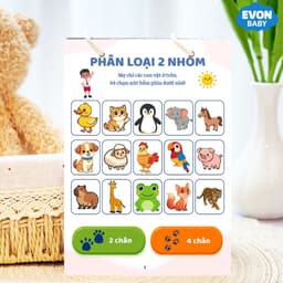 Thẻ Flash EVON BABY dạy bé tập nói - Tập PHÂN LOẠI THEO NHÓM 4