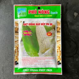 Hạt giống Bắp Nếp Nù Sữa Siêu Dẻo - 100g, Dễ Trồng, Sinh Trưởng Mạnh, Ngon Ngọt Thơm Phức 5