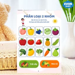Thẻ Flash EVON BABY dạy bé tập nói - Tập PHÂN LOẠI THEO NHÓM 2
