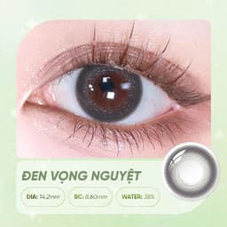 Kính Áp Tròng Màu HORIEN Săn Màu Cửu Châu 1 Ngày 5 Chiếc – Lens Màu Tự Nhiên, DIA 14.2mm, GDIA 13.4–13.5mm, Water 38% 3