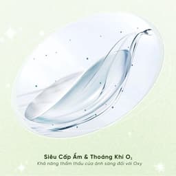 Lens Trong Suốt HORIEN Softfresh – Kính Áp Tròng Cận Polymacon, DIA 14.0mm, BC 8.6mm, Độ Ẩm 55%, thoải mái cả ngày 3