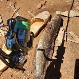Combo Phụ Kiện Câu Lure Đầy Đủ – Dây PE, Mồi Lure Tùy Chọn, Leader, Khóa Snap, Chụp Chì, Khóa Số 8 2