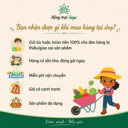 Găng Tay Phủ PU Màu Xanh Cam (1 Đôi Freesize) Co Giãn Chống Bám Đất, Làm Vườn Không Bí Tay | Nông Trại Sago 6