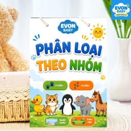 Thẻ Flash EVON BABY dạy bé tập nói - Tập PHÂN LOẠI THEO NHÓM 1