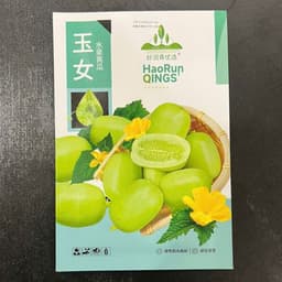 Hạt Giống Dưa Leo Ngọc Nữ F1 - Siêu Đậu Quả, Dễ Trồng, Đẹp Mắt, Trồng Quanh Năm (1g ~ 30 Hạt) 3