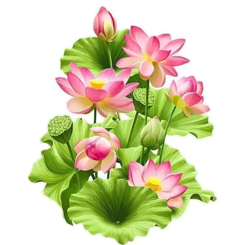 Miếng Dán Tường Hoa Sen 3D Sang Trọng, Tinh Tế, Trang Trí Nhà, Toilet, Tủ Lạnh