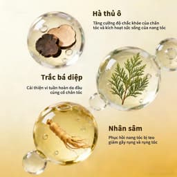 "Dầu Gội Hà Thủ Ô 90g - Giảm Rụng Tóc, Tẩy Tế Bào Chết & Dưỡng Ẩm Tóc Khỏe Mạnh" 6