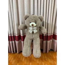 Gấu Bông Teddy Bear Lông Tiểu Kim Cao Cấp 1
