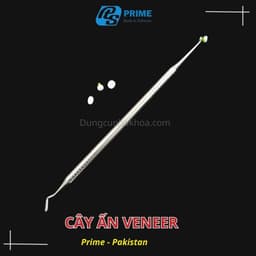 Cây ấn veneer Parkistan 2