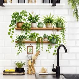 DT22 - 40x70cm Decaltrong chậu cây, kệ cây xanh. Decal dán tường (40cm x 70cm) trang trí phòng khách, phòng ngủ 7