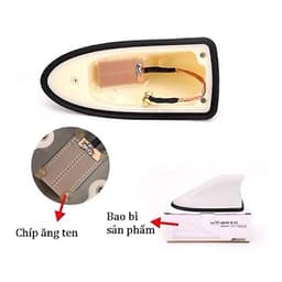 Vây Cá Mập Có Gioăng Cao Su Chống Nước 6