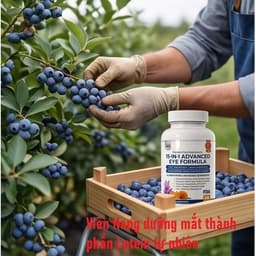 Viên Uống Bổ Mắt Thành Phần Lutein Việt Quất Tự Nhiên, Dưỡng Mắt, Hết Khô Mắt, Mỏi Mắt_DEAL CỰC HỜI   7