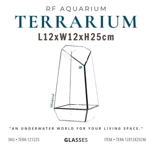 (Update Bản Sillicon Đen) Bể Terrarium Đa Giác Trang Trí Bàn Làm Việc 12x12x25cm