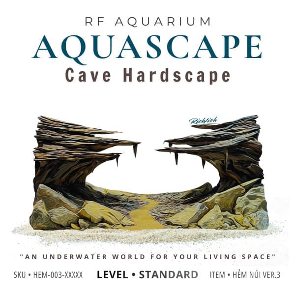 Layout Thuỷ Sinh Hẻm Núi Ver.3 | Nghệ Thuật Tái Tạo Lại Cảnh Quan Từ Gỗ Đá Tự Nhiên | RF Aquarium