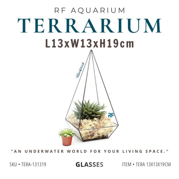 (Update Bản Sillicon Đen) Terrarium Hình Tam Giác Trồng Cây Kích Thước 13x13x19cm