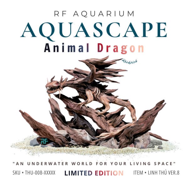 Limited I Layout Thủy Sinh Rồng Châu Âu Thương Hiệu RFaquarium I Nghệ Thuật Điêu Khắc Gỗ Lũa