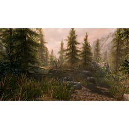 Đĩa game The Elder Scrolls V Skyrim Special Edition PS4 (LIKE NEW) 4