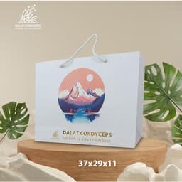 Túi giấy quà tặng cao cấp - Dalat Cordyceps 4