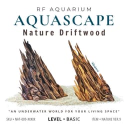 Layout Nature Ver.9 | Chế Tác Thủ Công Trang Trí Bể Thuỷ Sinh Mini Để Bàn Làm Việc | RF Aquarium 1